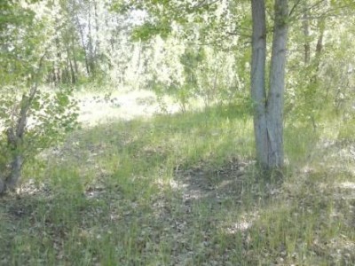 CAM00553.jpg