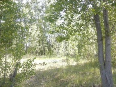 CAM00554.jpg