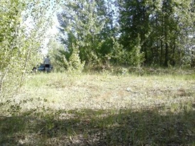 CAM00555.jpg