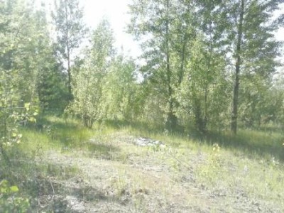 CAM00556.jpg
