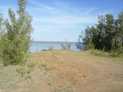 CAM00558.jpg