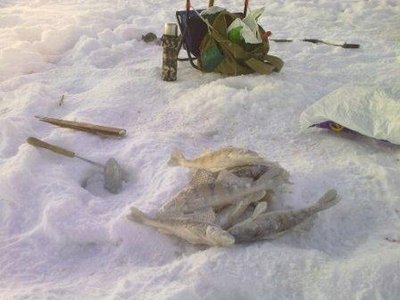 Улов и туча положительных эмоций.