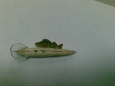 18012010088.jpg