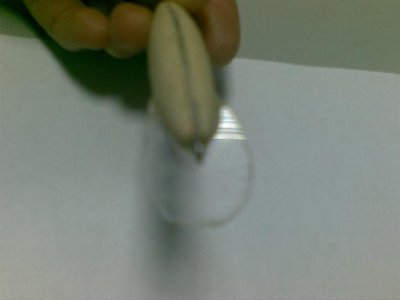 18012010091.jpg