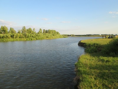 Красота