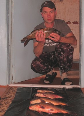 008.2.jpg
