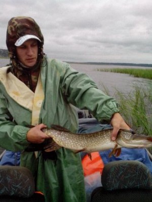 клыкастая