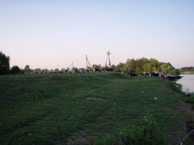 P7020183.jpg