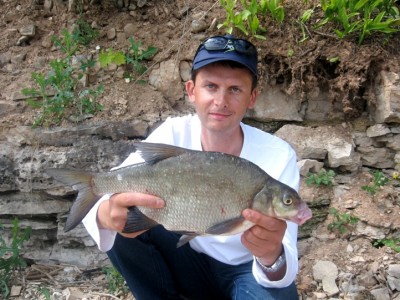 IMG_4569.jpg