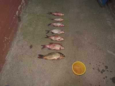043.2.jpg
