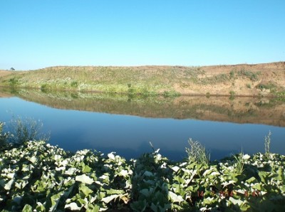 DSCF8890.jpg