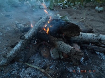 DSCF8875.jpg