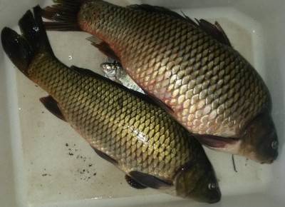 20140713_102704.jpg