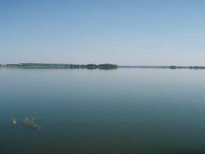 P7150248.jpg