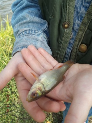 DSCF8935.jpg