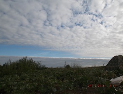 DSCF9061.jpg