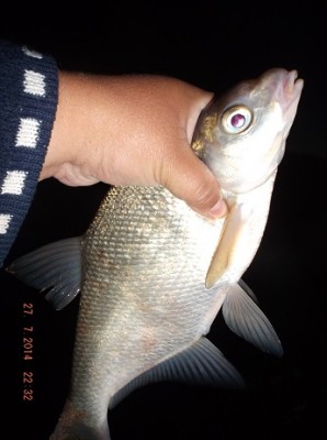 DSCF9054.jpg