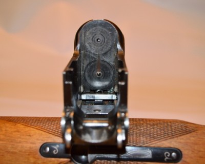DSC_1295.JPG