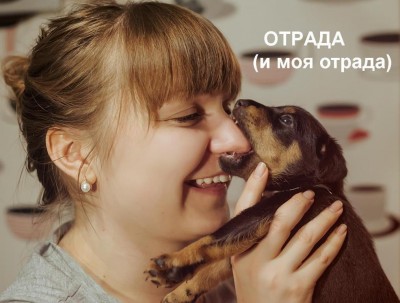 -06.jpg