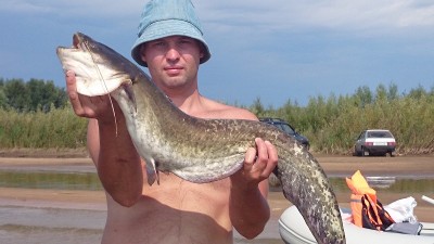 DSC_0219_1.jpg