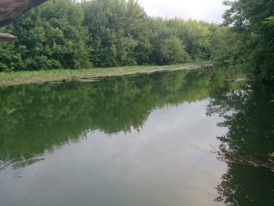 DSC_0377.jpg