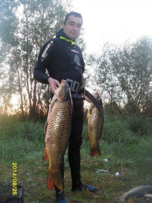 Сазаны 3,25 и 7,1 кг.