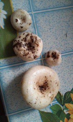 20140831_115903.jpg