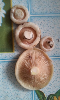 20140831_115923.jpg