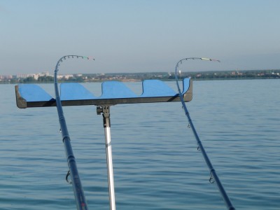 P9010441.jpg