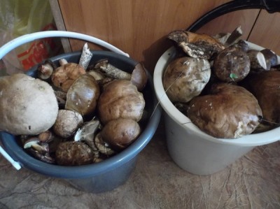 DSCF9588.JPG