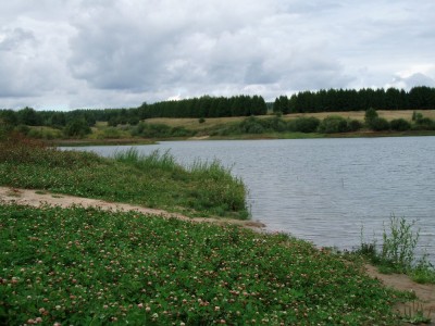 P9060447.jpg