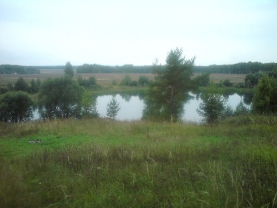 DSC00625.jpg
