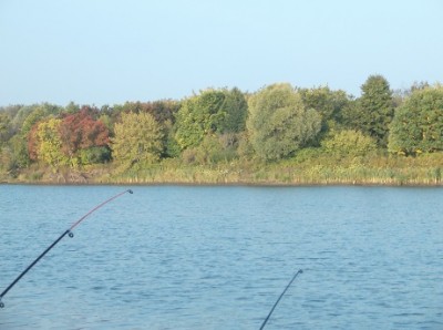 DSCF9671.jpg