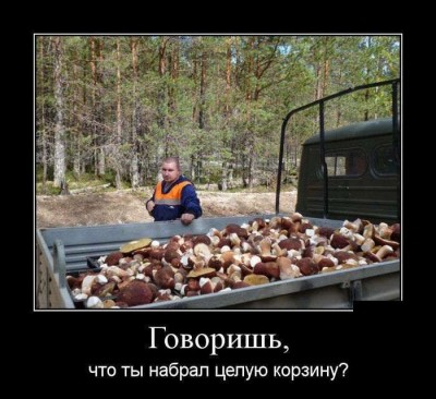1410501244_sbornik-demotivacionnyh-prikolov-1.jpg