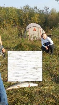 Остальное закрыто по этическим соображениям
