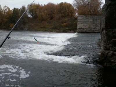 IMG00117.jpg