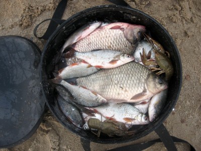 IMG_4823.jpg (138.11 КБ) 5256 просмотров Приятное завершение сезона