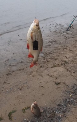 DSCF9827.jpg