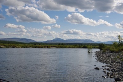 Уральские виды.