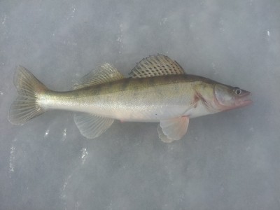 20141026_112049.jpg