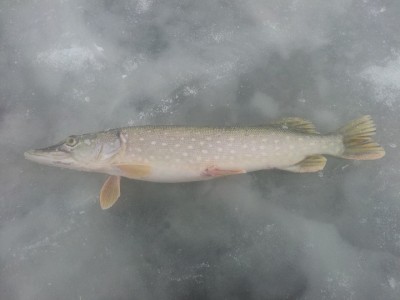 20141026_084142.jpg