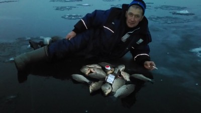карась 2.jpg