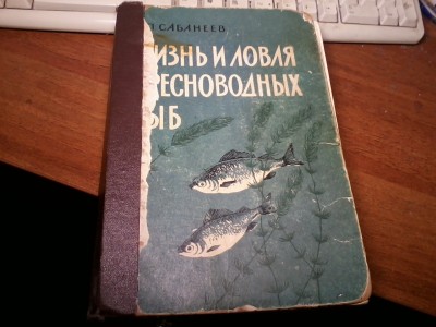 IMG00159.jpg