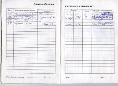 rodoslovnaya_Ar-Rem_4 для форума.jpg