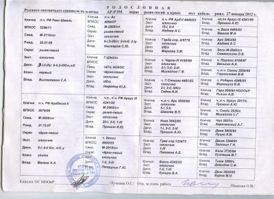 rodoslovnaya_Ar-Rem_3 для форума.jpg
