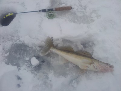 20141210_084113.jpg