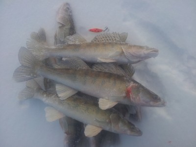 20141211_143145.jpg