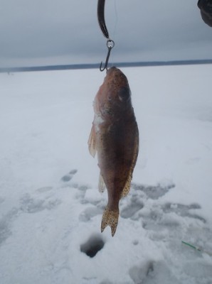 DSCF0910.jpg