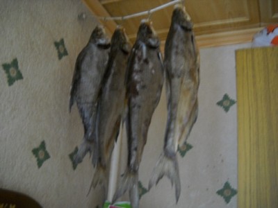 DSCN3679.JPG