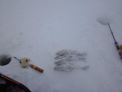 20150111_095911.jpg